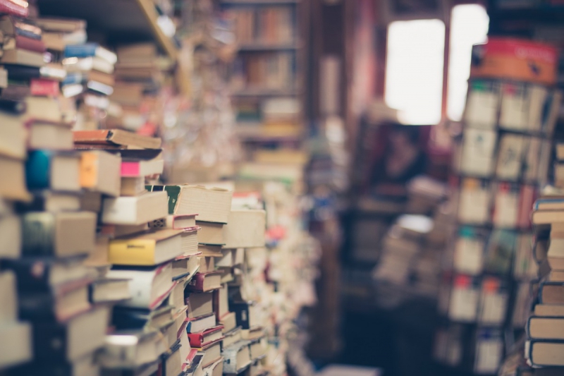 vitrine-VILLECROZE-min_books_stack_book_store_stack_of_books_2nd_hand_retro_hipster_shop-829090